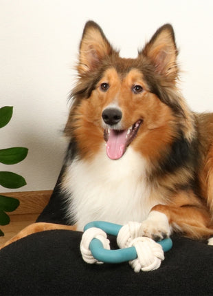 D&D Hundespielzeug Milou