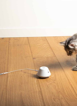 EBI Cat Toy Twisting Tank