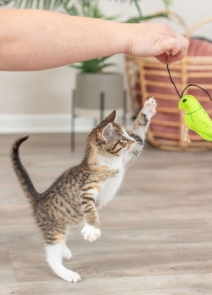 Trixie Insekten aus Filz mit Catnip