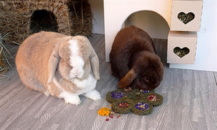 Naturals Rosewood Naturals Flower 'N' Forage Blossom