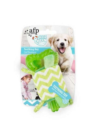 All for Paws Little Buddy - Teething Key Grün