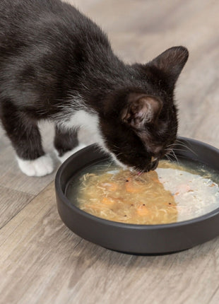Trixie Soup mit Huhn & Lachs - 80g