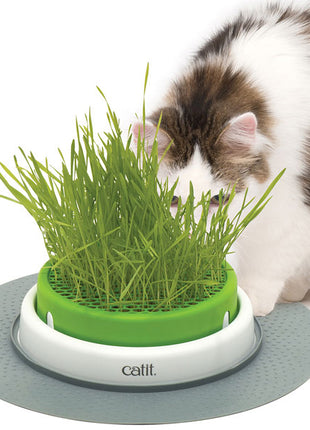 CATIT Senses 2.0 Grastopf - Grass Planter