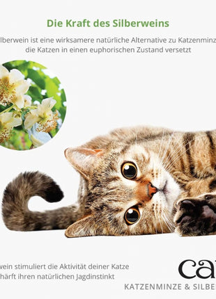 Catit Mischung aus Katzenminze & Silberwein - 28g