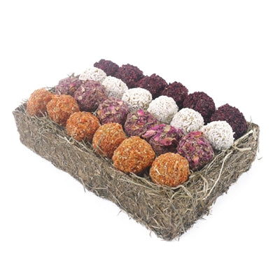 Rosewood Gift 'N' Forage Truffel Schaal