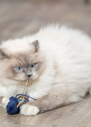 Trixie Katzenspielzeug Meerestiere