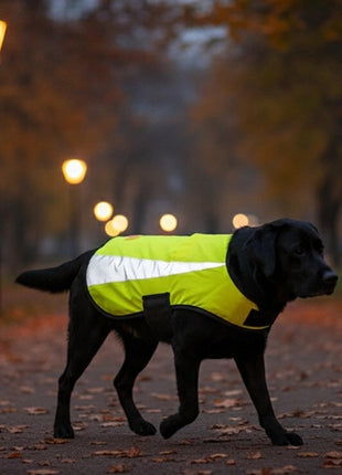 Zolux Kamizelka odblaskowa R.55 żółta