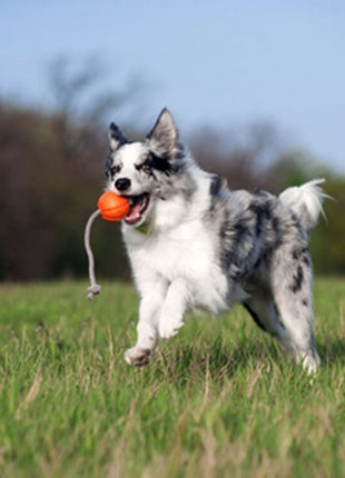 Collar Liker7 Cord o średnicy 7cm