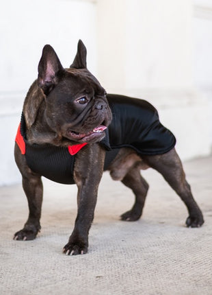 Chaba Ubranko regulowane Wear Magnifique XL czerwone