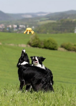 Kiwi Walker Let's Play Octopus Mini ośmiornica pomarańczowa