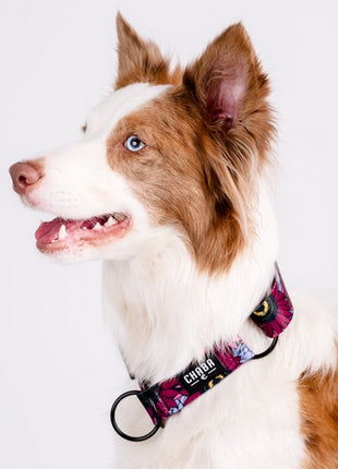 CHABA Obroża półzaciskowa Story III M Lakota