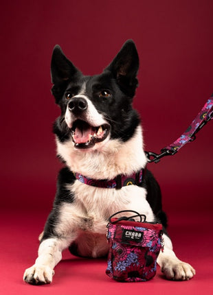 CHABA Obroża regulowana Story III XL Lakota