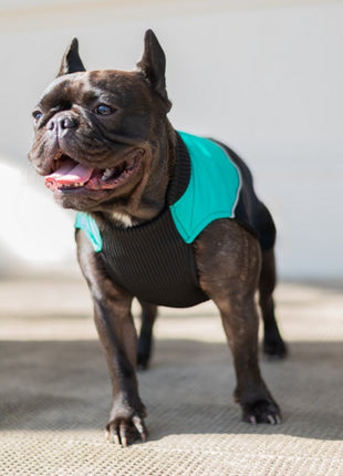 Chaba Ubranko regulowane Wear Magnifique XL zielone