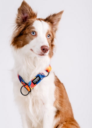 CHABA Obroża półzaciskowa Story III L Aussie