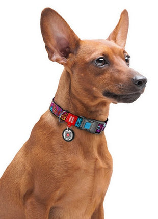 Collar WauDog Nylon Obroża nylonowa z QR-paszportem, plastikowy fastex, wzór LATO, 25mm/33-49cm