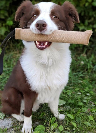 Dingo Zabawka dla psa - Szarpak z juty z uchwytem 40/6cm