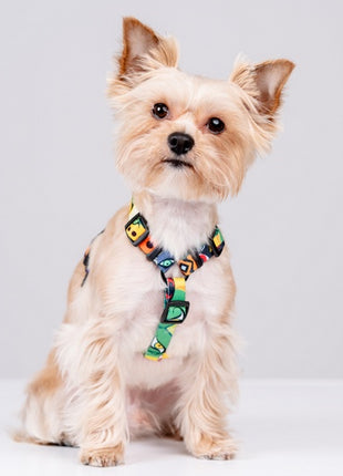 CHABA Szelki Guard Story III L 2,5cm Jumbo