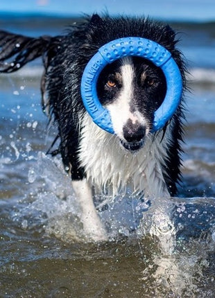 Kiwi Walker Let's Play Ring Maxi niebieski