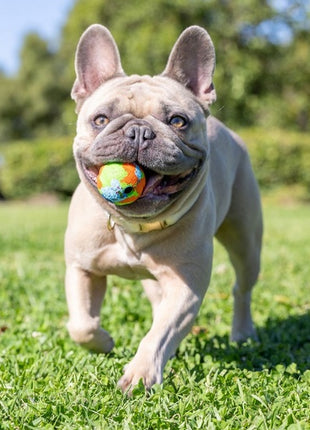 Chuckit! Eco Fetch Ball Small 2pak [37163]