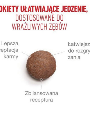 Royal Canin Ageing +15 karma sucha dla kotów dojrzałych 4kg