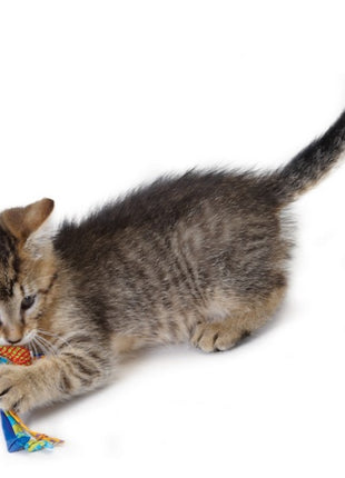 Petstages Gryzaki do higieny zębów kota PS326