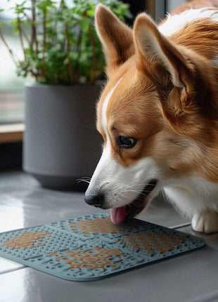 Collar WauDog Silicone Mata do lizania 19x19x1cm szara