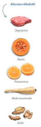 Amanova Dog Adult Sensitive Delicious Lamb - jagnięcina 2kg