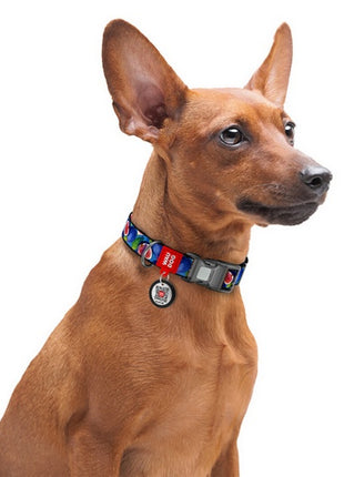 Collar WauDog Nylon Obroża nylonowa z QR-paszportem, plastikowy fastex, wzór FIGA, M 20mm/28-40cm