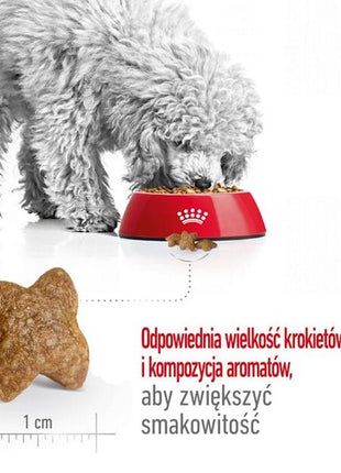 Royal Canin Mini Adult karma sucha dla psów dorosłych, ras małych 2kg