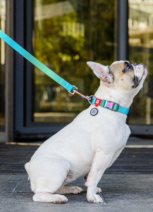 Collar WauDog Recycled Obroża nylonowa z QR-paszportem, gradient L 25mm/33-49cm niebieski