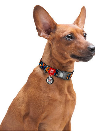 Collar WauDog Nylon Obroża nylonowa z QR-paszportem, plastikowy fastex, wzór POMARAŃCZE, 20mm/28-40cm