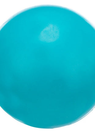 Trixie Piłka gumowa 6cm twarda [3301]