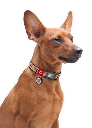 Collar WauDog Nylon Obroża nylonowa z QR-paszportem, plastikowy fastex, wzór AWOKADO NA RÓŻU, M 20mm/28-40cm