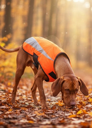 Zolux Kamizelka odblaskowa R.40 pomarańczowa