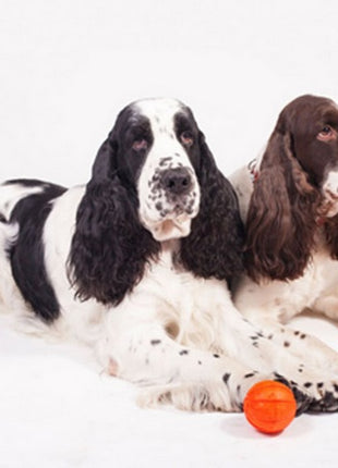 Collar Liker9 Piłka o średnicy 9cm