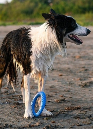 Kiwi Walker Let's Play Ring Maxi niebieski