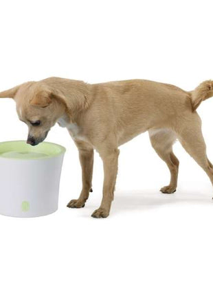 CATIT Fresh+Clear Trinkbrunnen 3L - Lindgrün