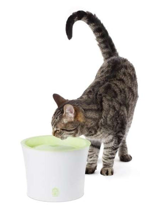 CATIT Fresh+Clear Trinkbrunnen 3L - Lindgrün