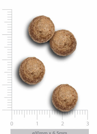 Amanova Dog Adult Mini Obesity Turkey Delight - indyk 2kg