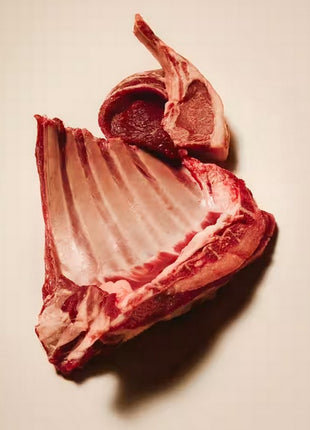 Carnilove Cat Active Lamb & Wild Boar Sterilised - jagnięcina i dzik 6kg