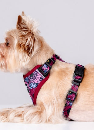 CHABA Szelki Guard Comfort Story III bezuciskowe S 1,6cm Lakota