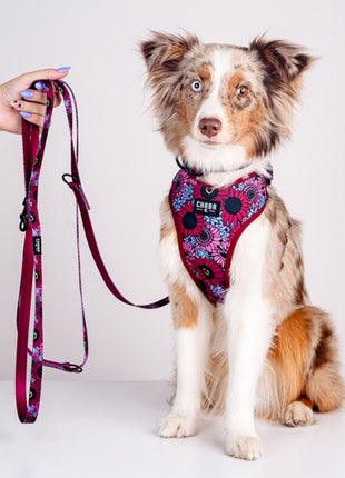 CHABA Smycz regulowana Story III M 20mm/260cm Lakota