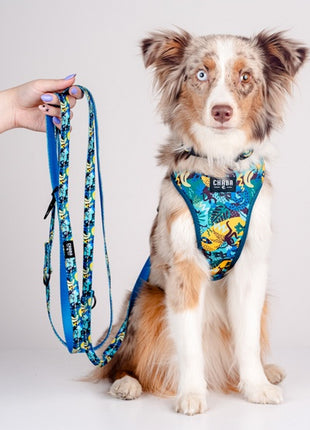 CHABA Smycz regulowana Story III M 20mm/260cm Carnival