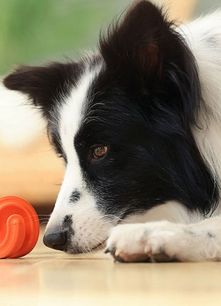 PetDreamHouse Zabawka gumowa Geo-Hex czerwona