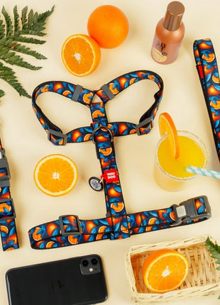 Collar WauDog Nylon Obroża nylonowa z QR-paszportem, plastikowy fastex, wzór POMARAŃCZE, 20mm/28-40cm