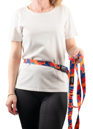 CHABA Smycz z amortyzatorem do biegania Story III L 25mm/280cm Aussie