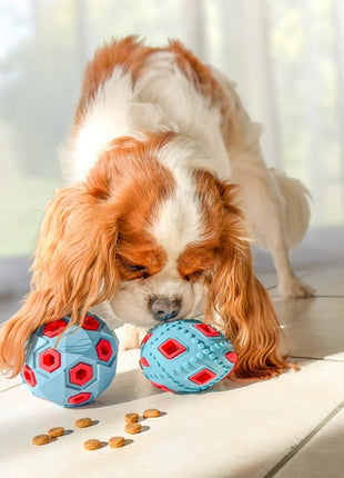 Zolux Zabawka na przysmaki do aportowania jajko 12cm