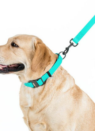 Collar WauDog Waterproof Obroża wodoodporna z QR-paszportem, akumulująca światło, plastikowy fastex, 15mm/25-35cm