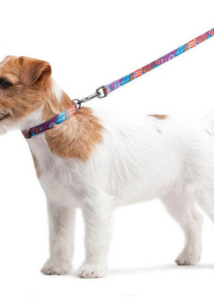 Collar WauDog Nylon Obroża nylonowa z QR-paszportem, plastikowy fastex, wzór LATO, 20mm/28-40cm