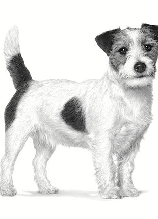 Royal Canin Veterinary Diet Canine Anallergenic Small 3kg